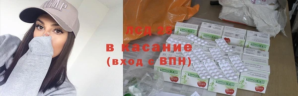 спайс Алзамай
