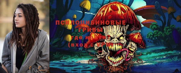 спайс Алзамай
