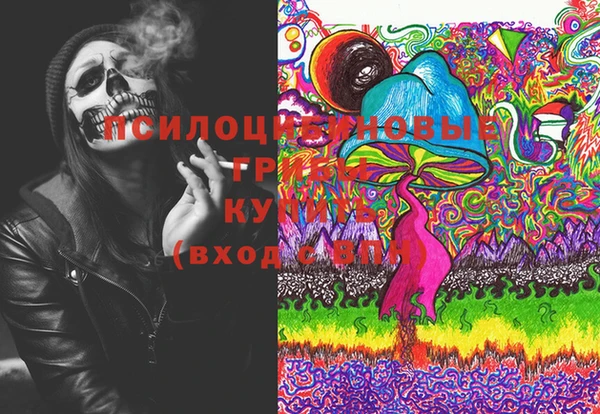 молекула духа Абинск