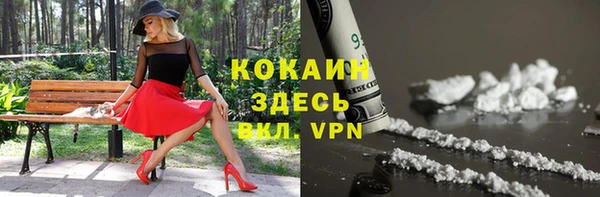 спайс Алзамай