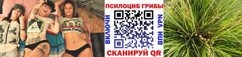 Псилоцибиновые грибы GOLDEN TEACHER  где продают   Слюдянка 